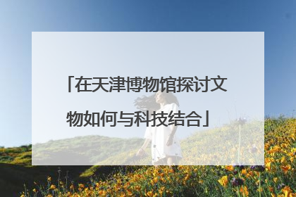 在天津博物馆探讨文物如何与科技结合